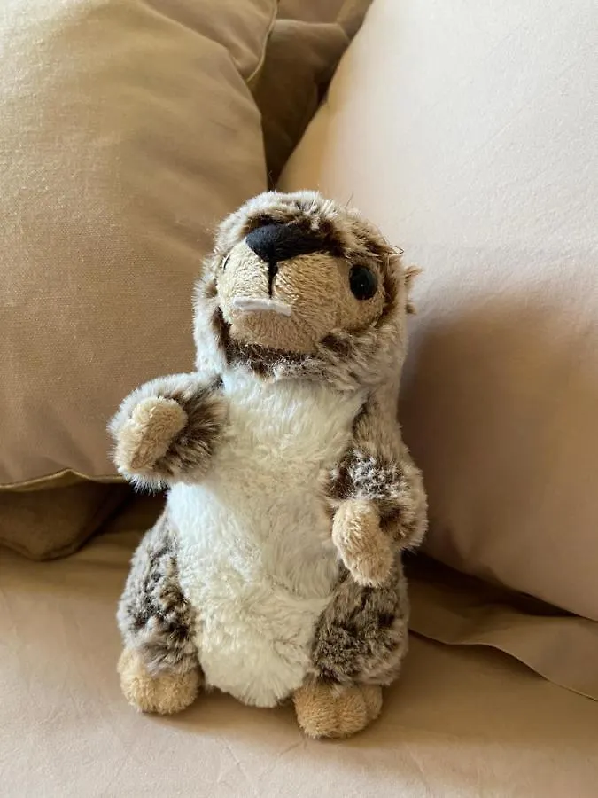 르그랑보르낭 La Marmotte Qui Papote 아파트
